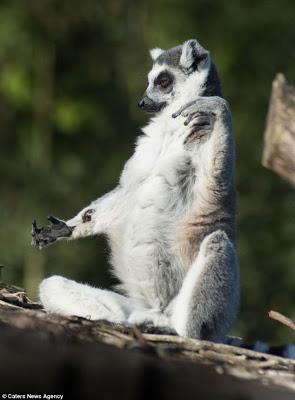 Pour un un altéro-non-dualisme