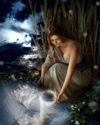 Semaine du 20 au 26 Juin 2016