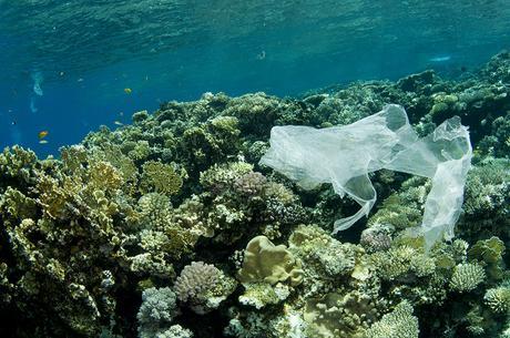 Pollution de l'océan via Shutterstock