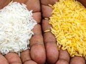 OGM: Nobel accusent Greenpeace d'être dogmatique "anti-scientifique"