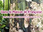 découvrir [Les Podcasts] juin, Blog Dans Maison Françoise