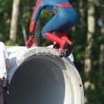 Spider-Man Homecoming-image tournage2