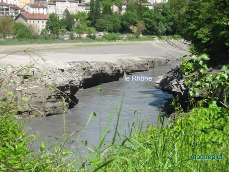 France - La baisse des eaux du Rhône - 1