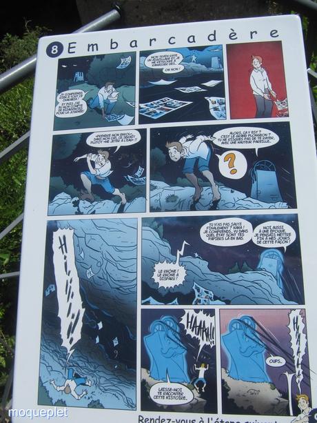 France - La baisse des eaux du Rhône - 1