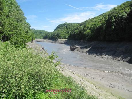 France - La baisse des eaux du Rhône - 1