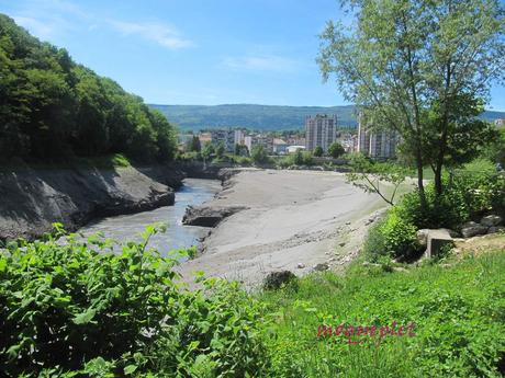 France - La baisse des eaux du Rhône - 1