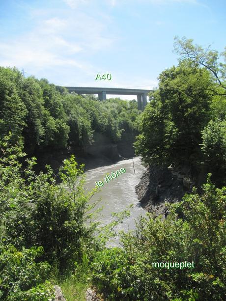 France - La baisse des eaux du Rhône - 1