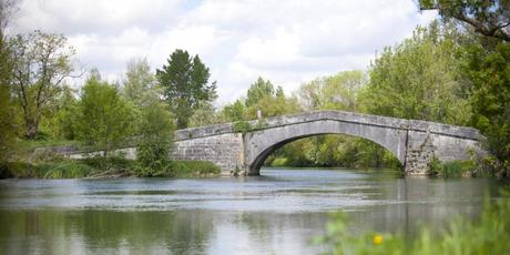Les chiffres sont inquiétants pour la Charente et ses affluents