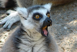 Donnons-nous la paix