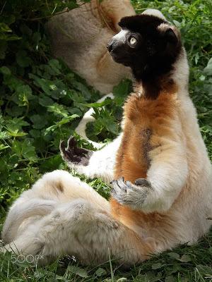 Donnons-nous la paix