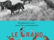 grand orchestre animaux Fondation Cartier