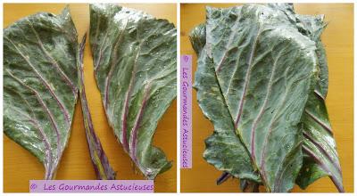 Roulés de chou rouge aux lentilles et au boulgour (Vegan)