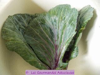 Roulés de chou rouge aux lentilles et au boulgour (Vegan)