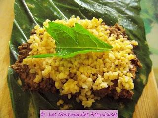 Roulés de chou rouge aux lentilles et au boulgour (Vegan)