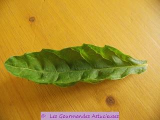 Roulés de chou rouge aux lentilles et au boulgour (Vegan)