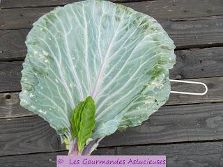 Roulés de chou rouge aux lentilles et au boulgour (Vegan)