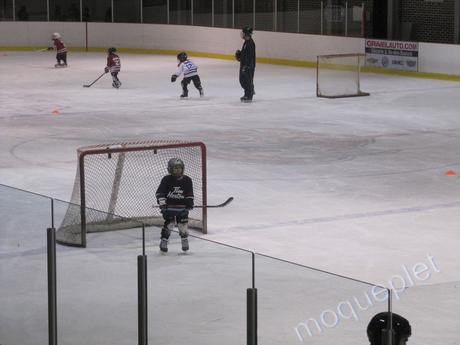 Canada -  Le Hockey sur glace