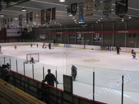 Canada -  Le Hockey sur glace