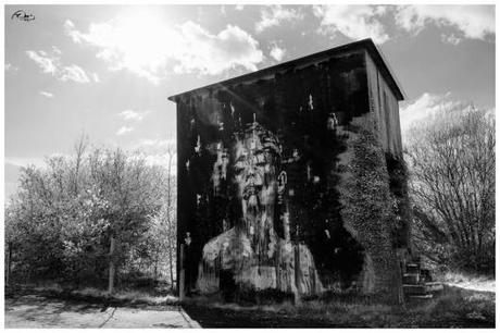 12998633_610840562406981_3267945066452113271_n