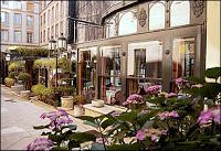 Anna Héritière de Lumière - tome 1 : Fais un Vœu - Sandra Léo