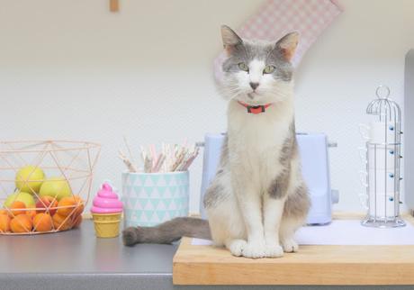 Dans la cuisine...♥