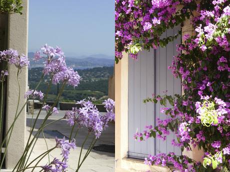 La Provence en Fleurs