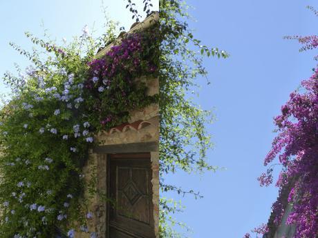 La Provence en Fleurs