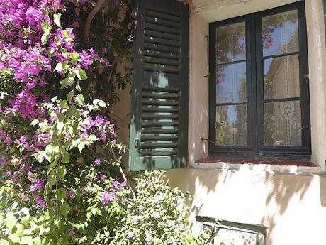 La Provence en Fleurs