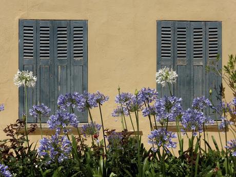 La Provence en Fleurs