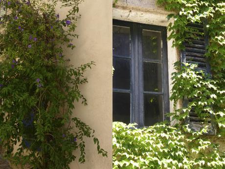 La Provence en Fleurs