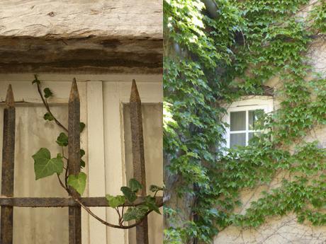 La Provence en Fleurs