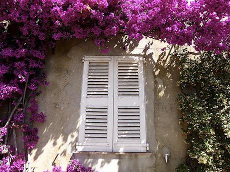 La Provence en Fleurs