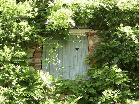 La Provence en Fleurs