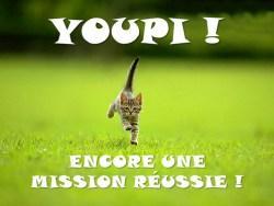 chaton youpi encore une mission réussie
