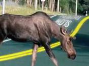 mythique Route devient intelligente