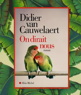 On dirait nous, Didier Van Cauwelaert