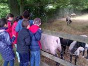 1345. nouvelle année terminée