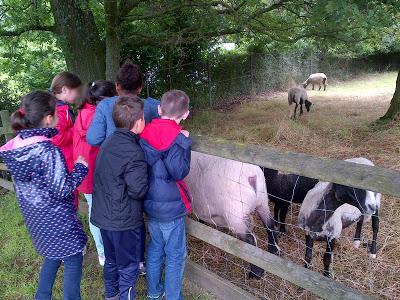 1345. Une nouvelle année de terminée