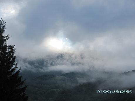 France - méli mélo de Juin
