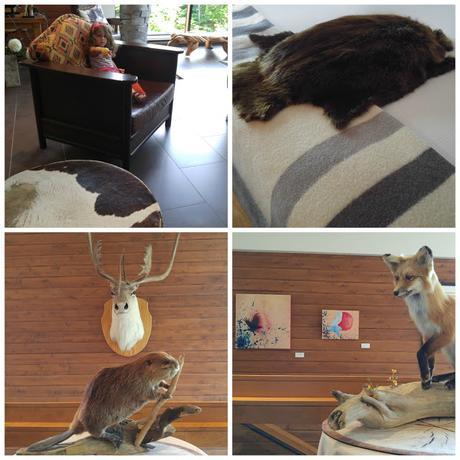 #PtitChanceux : La ville de Québec en famille