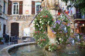 13620285_1047199501994644_4571242342743697690_n