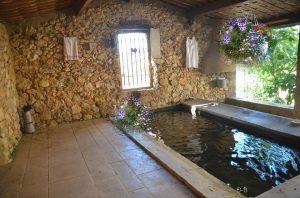 13599939_1047199088661352_9020550332362992348_n