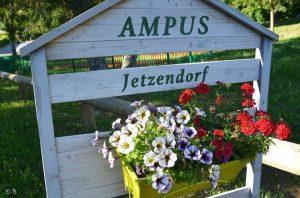 13631511_1047199231994671_1047290822208069530_n