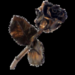 Commençons par l'éternité (Camille Revlann)