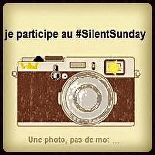 Silent Sunday #1