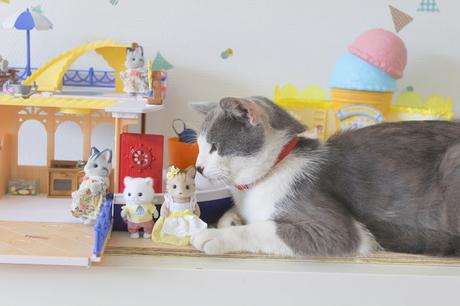 Moment Photos #126 Et enfin l'été ♥