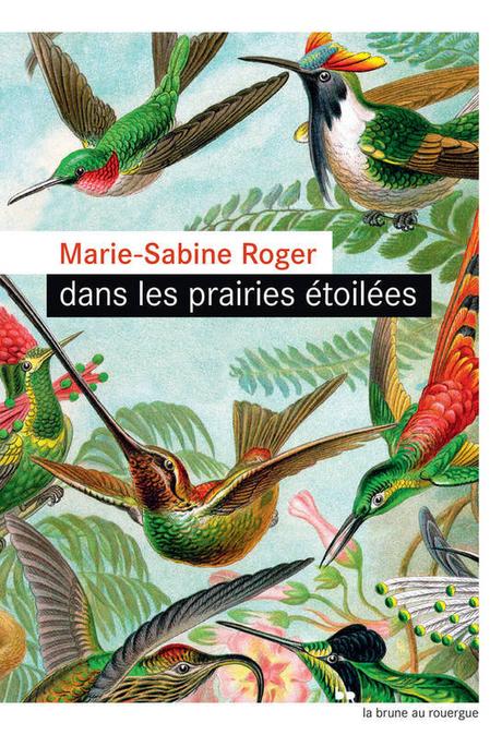 Dans les prairies étoilées de Marie-Sabine Roger