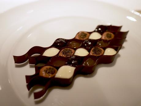 Sur les terres de Sanoflore