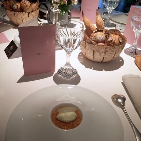 Sur les terres de Sanoflore