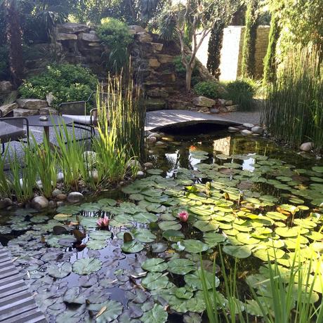 Sur les terres de Sanoflore